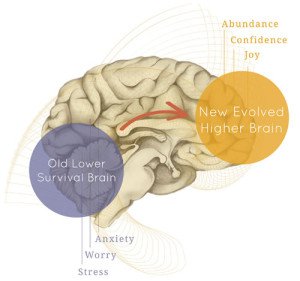 HigherBrain500x469