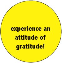 Experience An Attitude