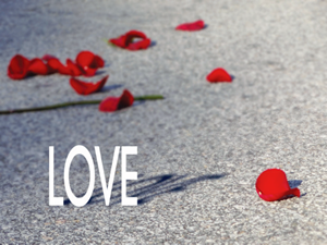 Love300x225