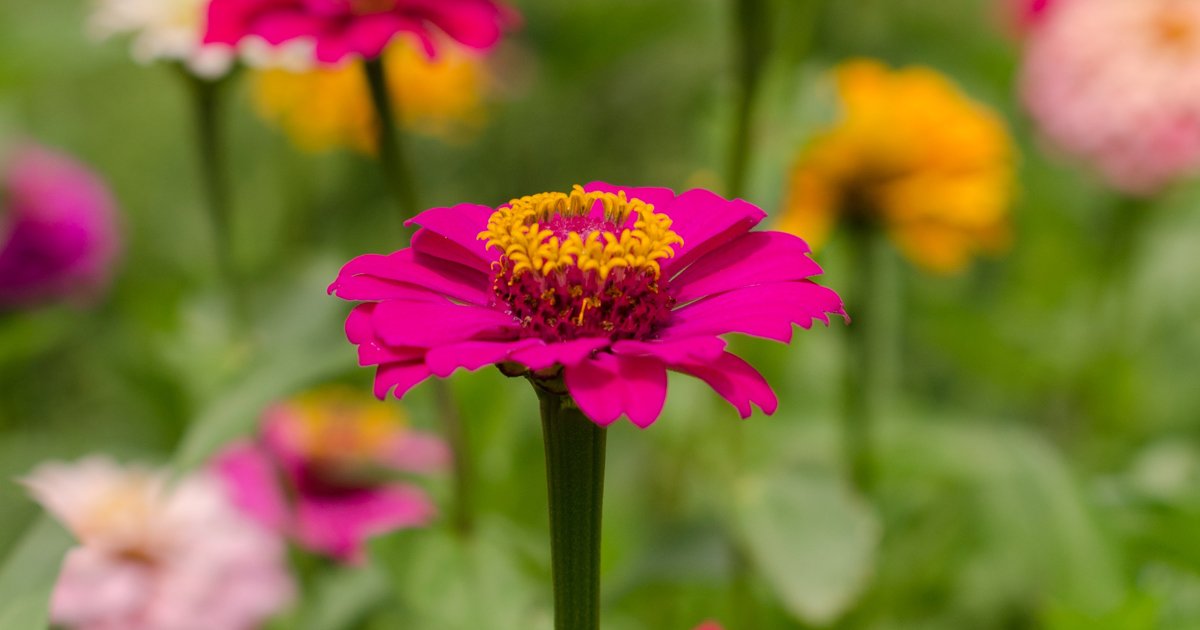 How Was Your Harvest?