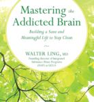 Mastering the Addicted Brain: Building a Sane and Meaningful Life to Stay Clean