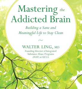 Mastering the Addicted Brain: Building a Sane and Meaningful Life to Stay Clean