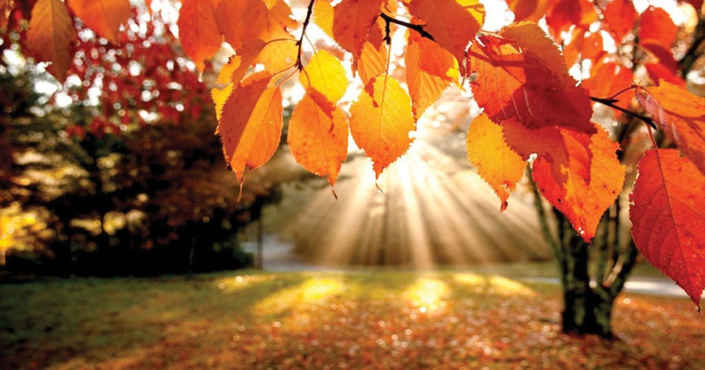 fall into winter whats a body to do