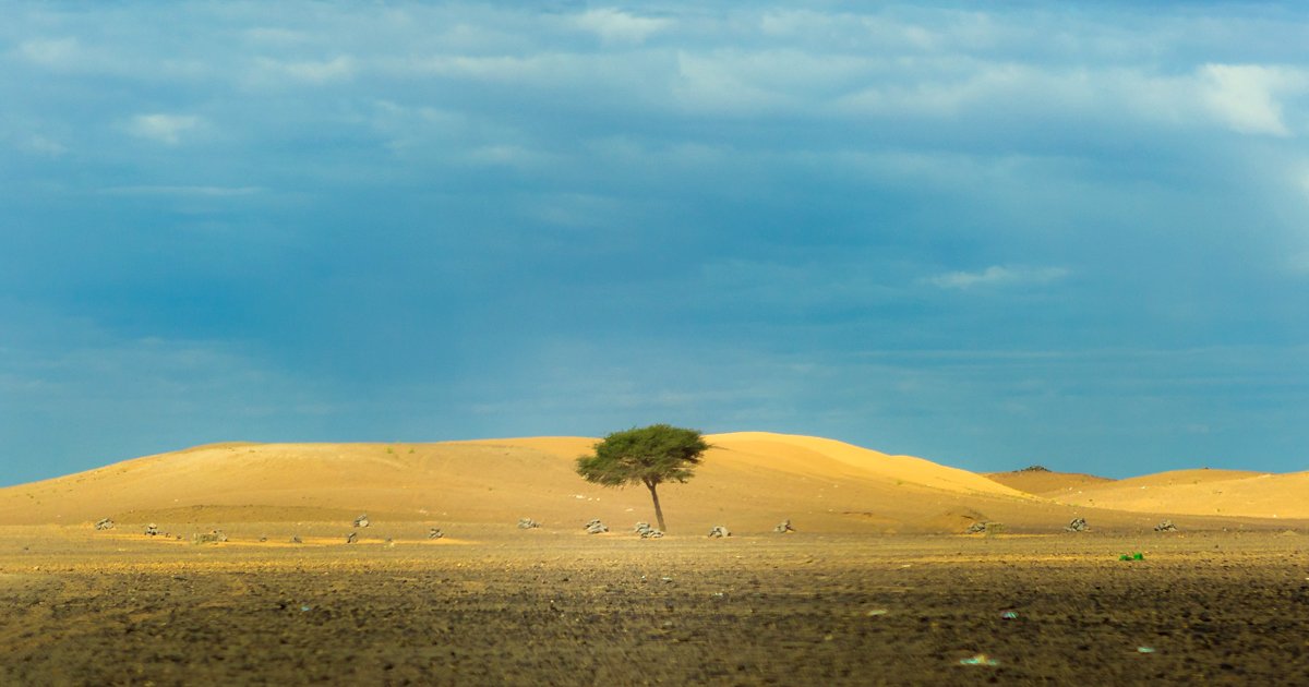 Resilience: Needed More Than Ever Today