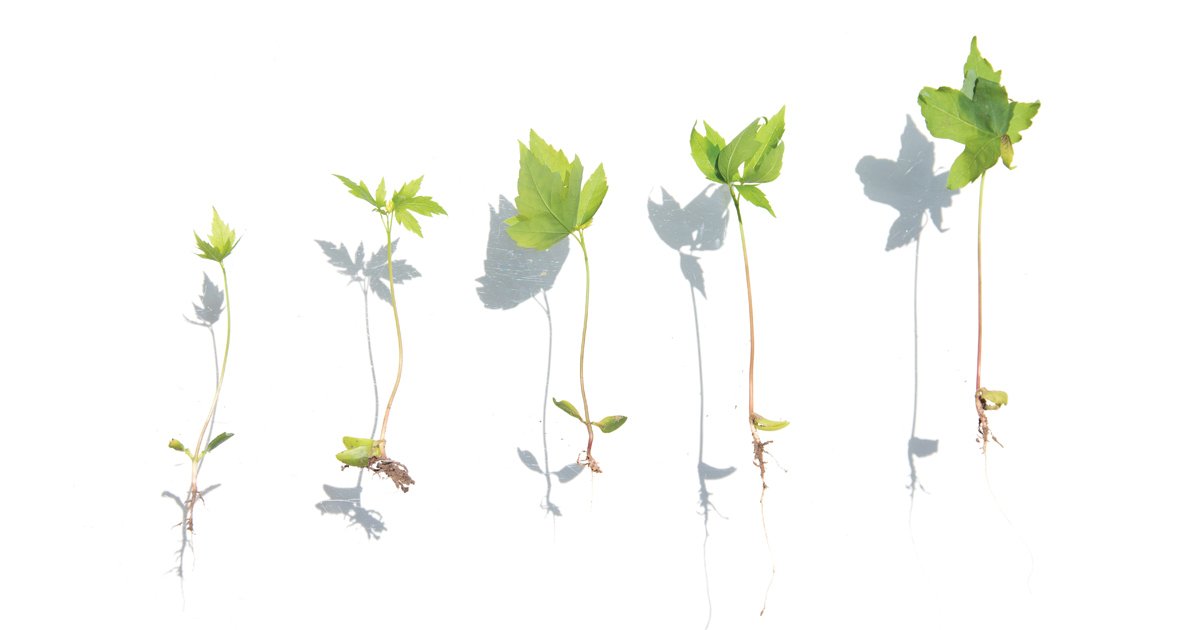 A Worldwide Recovery of Our Time