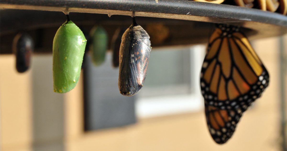 Three of My Most Important Life Lessons That May Help Your Personal Growth and Sobriety