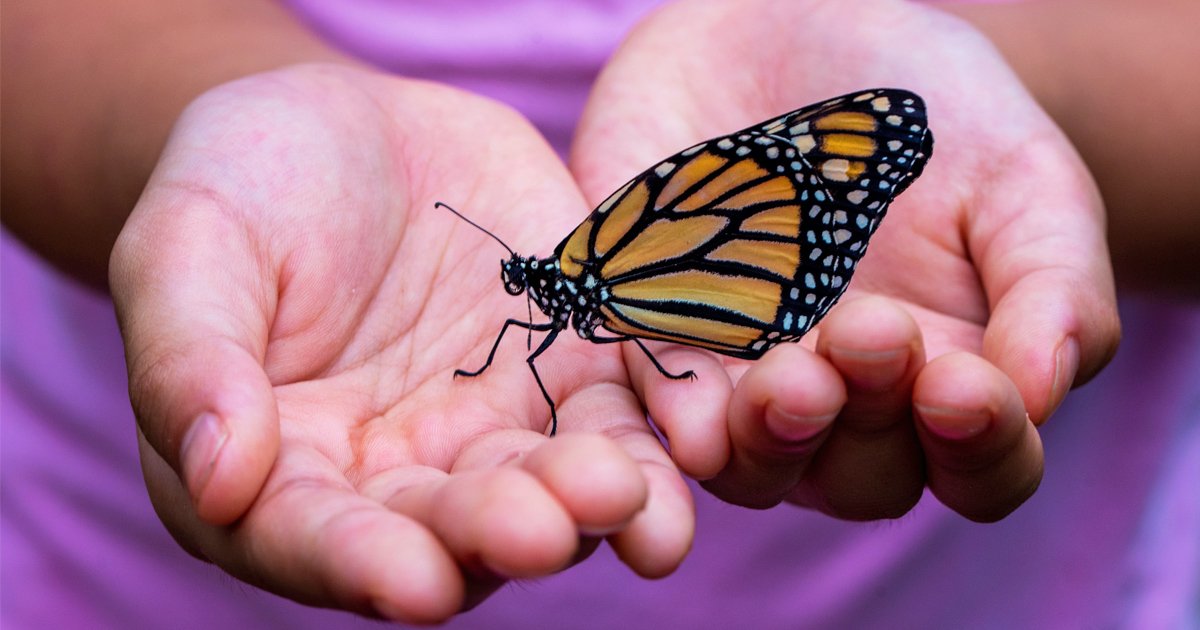 First Person: A Broken Wing