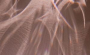 The News of My Demise Has Been Greatly Exaggerated